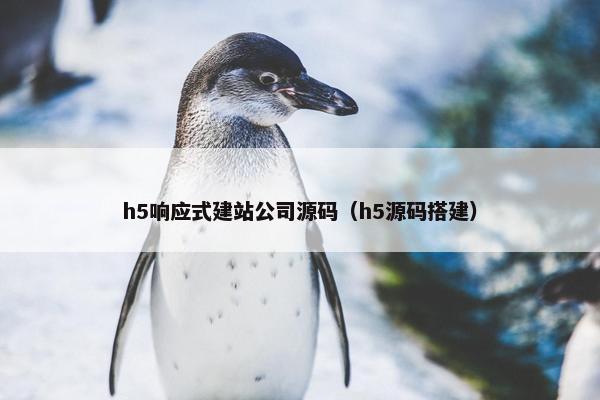 h5响应式建站公司源码（h5源码搭建）