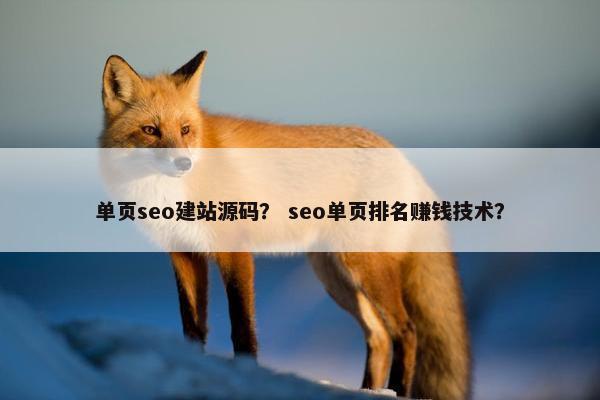 单页seo建站源码？ seo单页排名赚钱技术？
