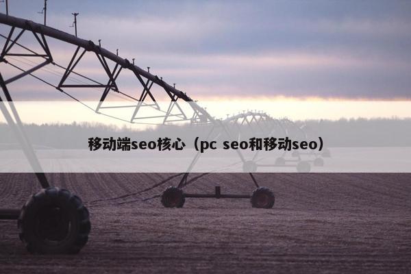 移动端seo核心（pc seo和移动seo）