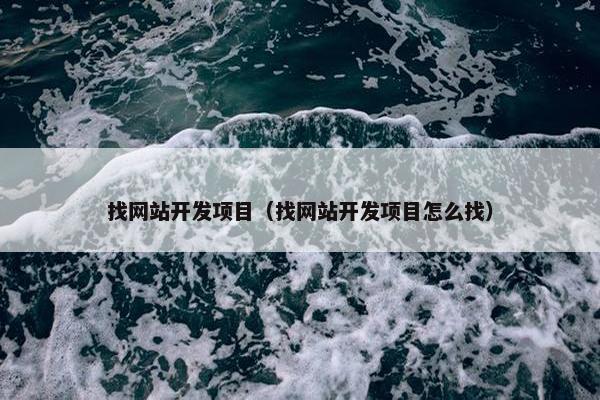 找网站开发项目（找网站开发项目怎么找）