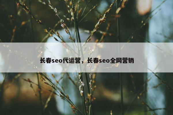 长春seo代运营，长春seo全网营销