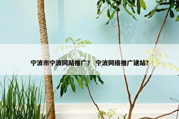 宁波市宁波网站推广？ 宁波网络推广建站？