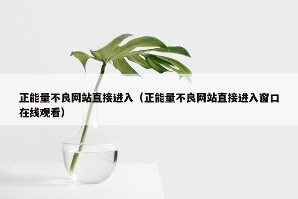 正能量不良网站直接进入（正能量不良网站直接进入窗口在线观看）