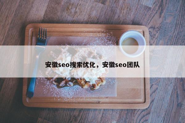安徽seo搜索优化，安徽seo团队