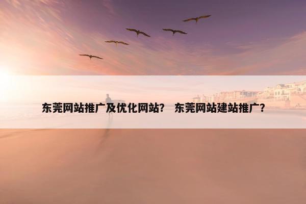 东莞网站推广及优化网站？ 东莞网站建站推广？