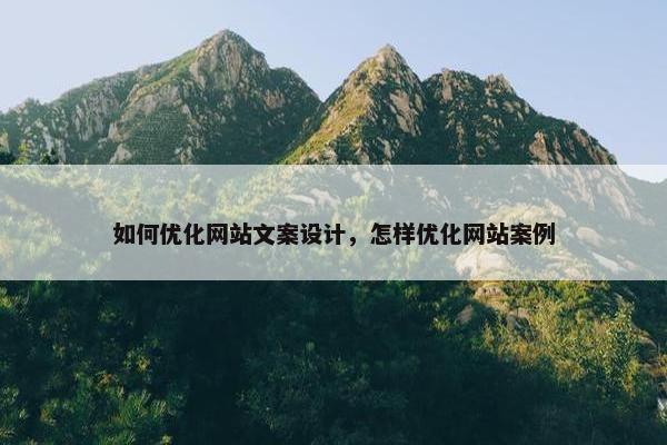 如何优化网站文案设计，怎样优化网站案例