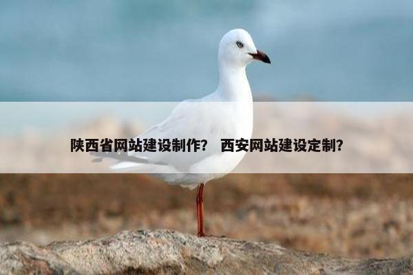 陕西省网站建设制作？ 西安网站建设定制？