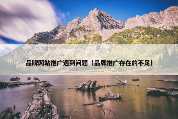 品牌网站推广遇到问题（品牌推广存在的不足）