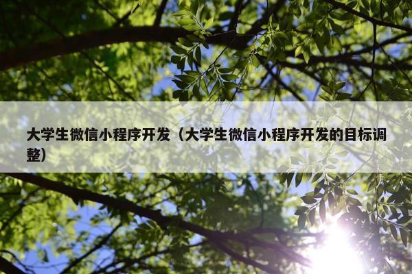 大学生微信小程序开发（大学生微信小程序开发的目标调整）