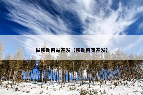 做移动网站开发（移动网页开发）