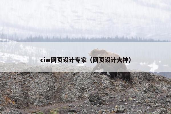 ciw网页设计专家（网页设计大神）