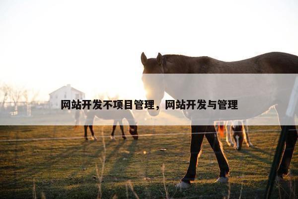 网站开发不项目管理，网站开发与管理
