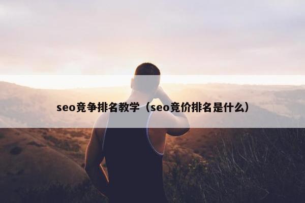 seo竞争排名教学（seo竞价排名是什么）