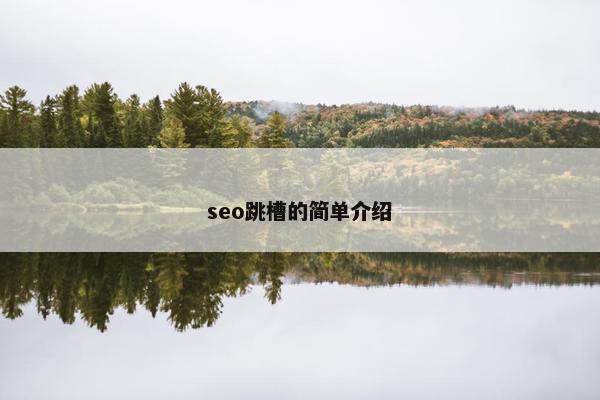 seo跳槽的简单介绍