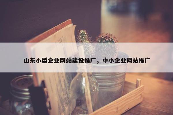 山东小型企业网站建设推广，中小企业网站推广