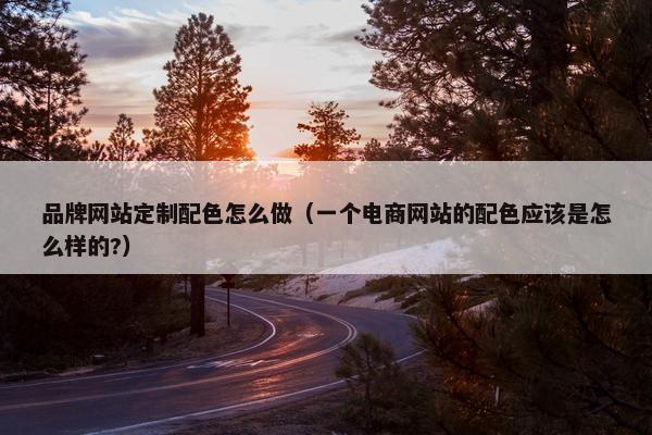 品牌网站定制配色怎么做（一个电商网站的配色应该是怎么样的?）