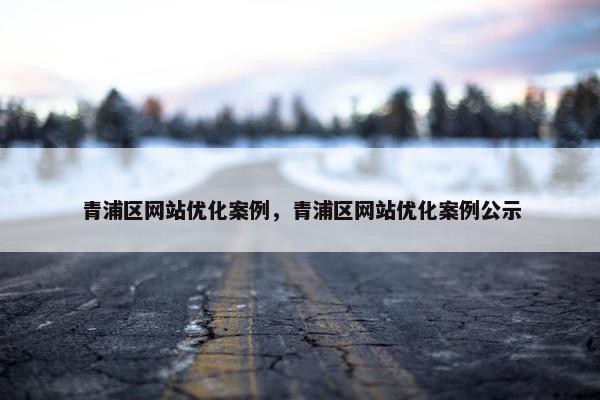 青浦区网站优化案例，青浦区网站优化案例公示