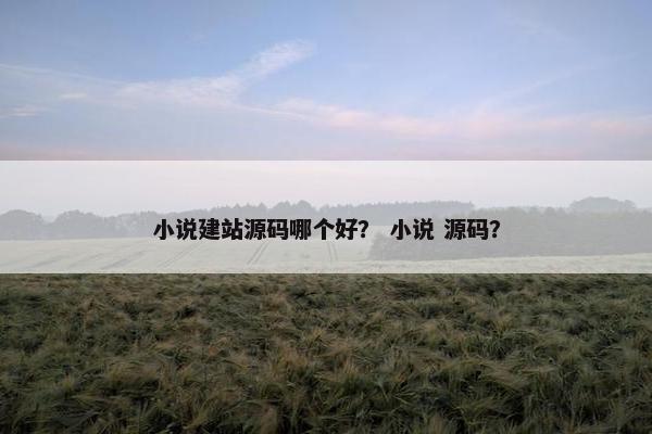 小说建站源码哪个好？ 小说 源码？