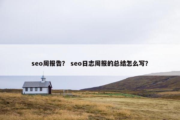 seo周报告？ seo日志周报的总结怎么写？