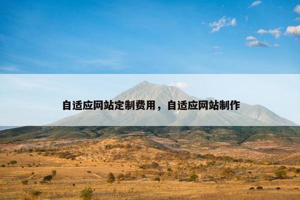自适应网站定制费用，自适应网站制作