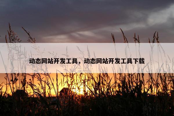 动态网站开发工具，动态网站开发工具下载
