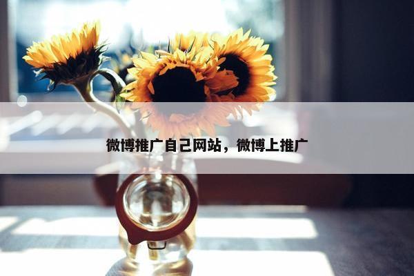 微博推广自己网站，微博上推广