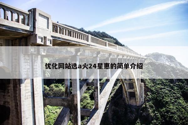 优化网站选a火24星惠的简单介绍