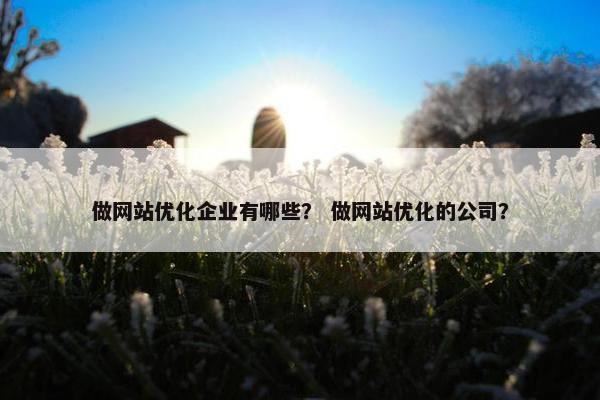 做网站优化企业有哪些？ 做网站优化的公司？
