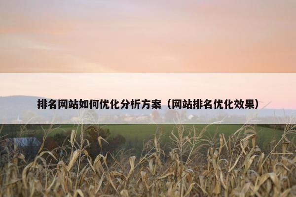 排名网站如何优化分析方案（网站排名优化效果）