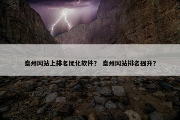 泰州网站上排名优化软件？ 泰州网站排名提升？