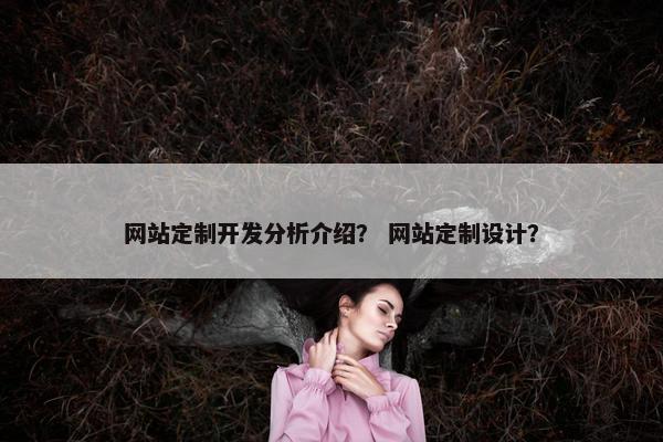 网站定制开发分析介绍？ 网站定制设计？