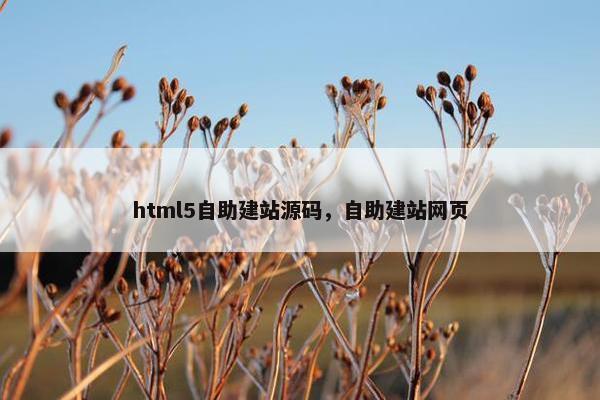 html5自助建站源码，自助建站网页