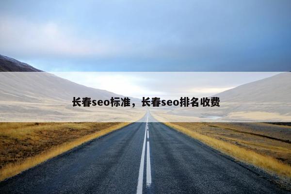 长春seo标准，长春seo排名收费