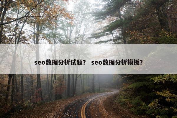 seo数据分析试题？ seo数据分析模板？