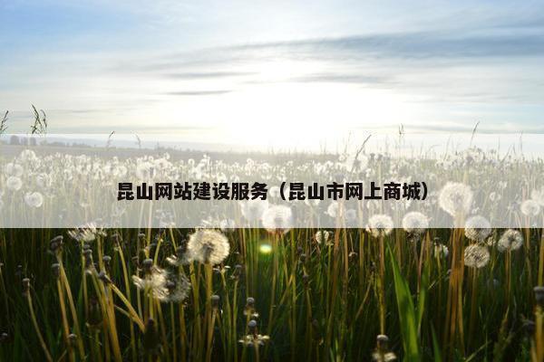 昆山网站建设服务（昆山市网上商城）