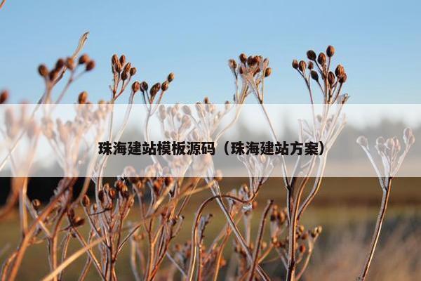 珠海建站模板源码（珠海建站方案）