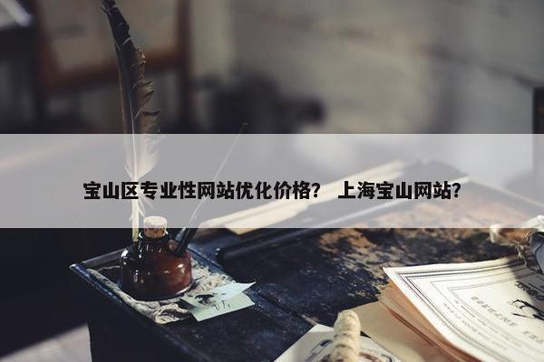 宝山区专业性网站优化价格？ 上海宝山网站？