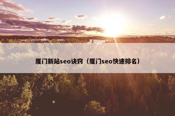 厦门新站seo诀窍（厦门seo快速排名）