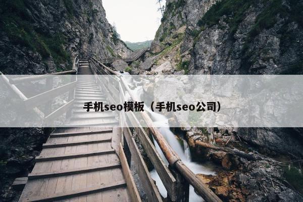 手机seo模板（手机seo公司）