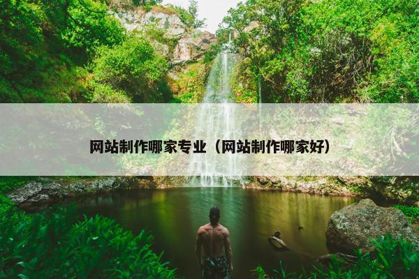 网站制作哪家专业（网站制作哪家好）