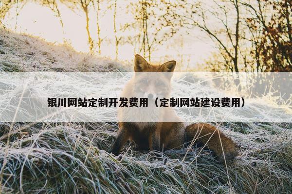 银川网站定制开发费用（定制网站建设费用）