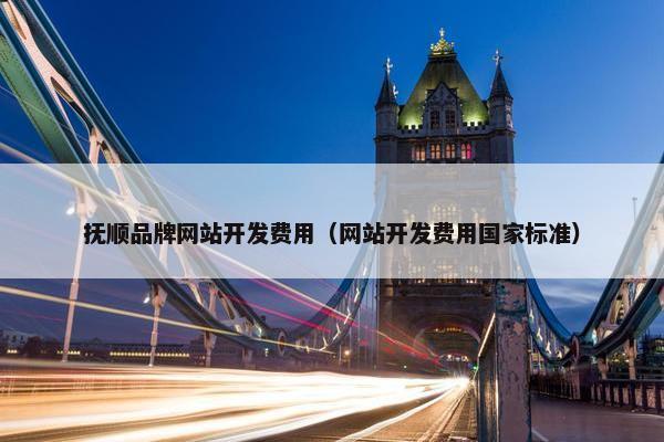 抚顺品牌网站开发费用（网站开发费用国家标准）