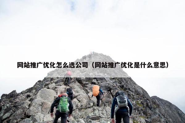 网站推广优化怎么选公司（网站推广优化是什么意思）