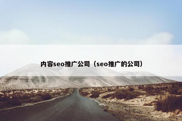 内容seo推广公司（seo推广的公司）