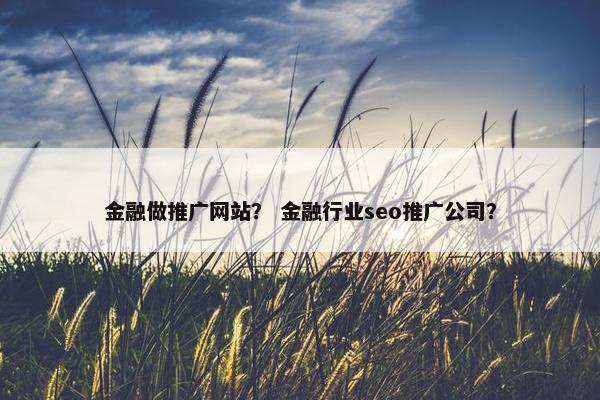 金融做推广网站？ 金融行业seo推广公司？
