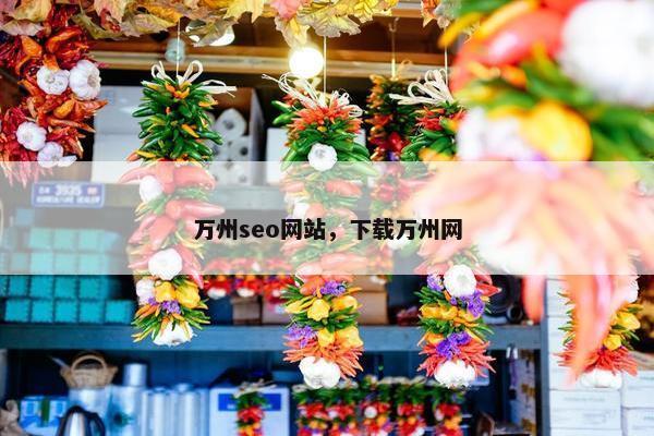 万州seo网站，下载万州网