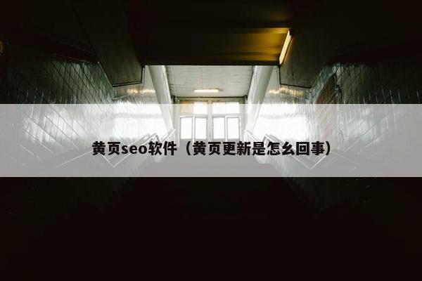 黄页seo软件（黄页更新是怎幺回事）