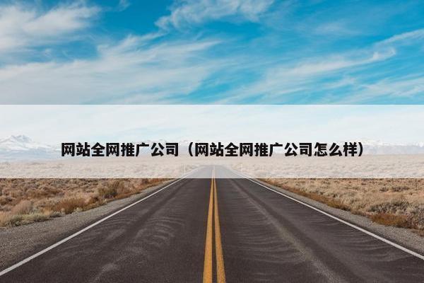 网站全网推广公司（网站全网推广公司怎么样）