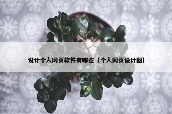 设计个人网页软件有哪些（个人网页设计图）
