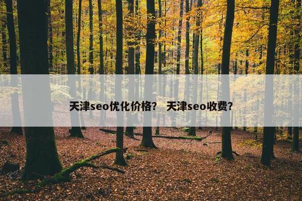 天津seo优化价格？ 天津seo收费？